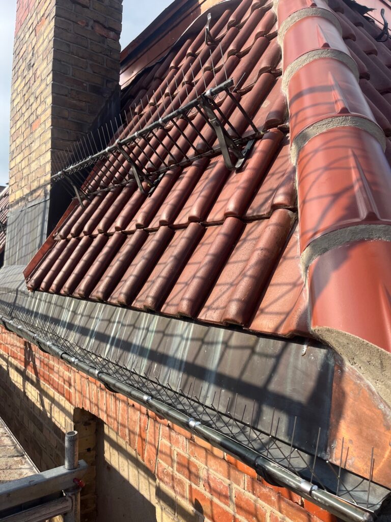 Rote Ziegel, Spikes, Schornstein, Dach.